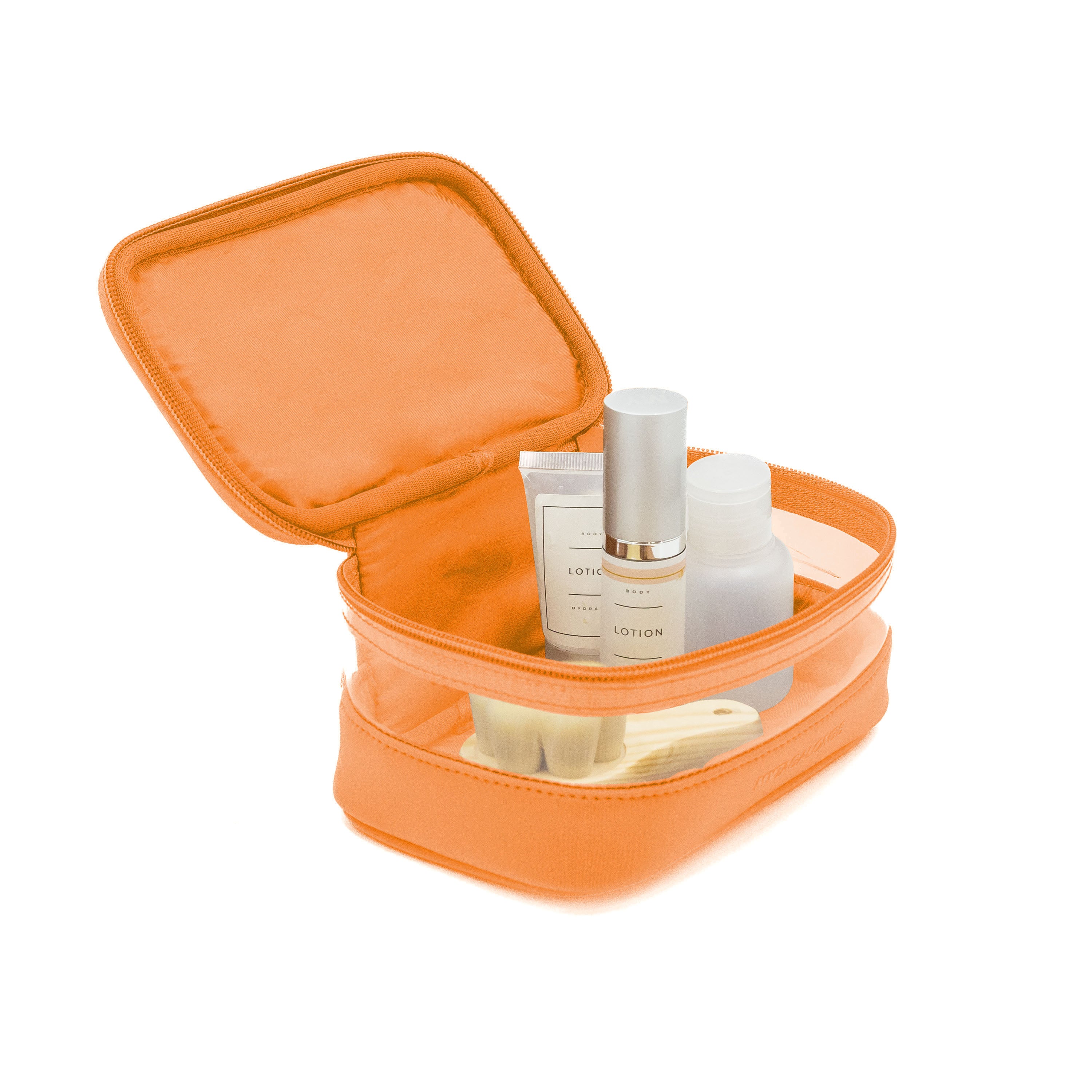 MINI CLEAR TRAIN CASE