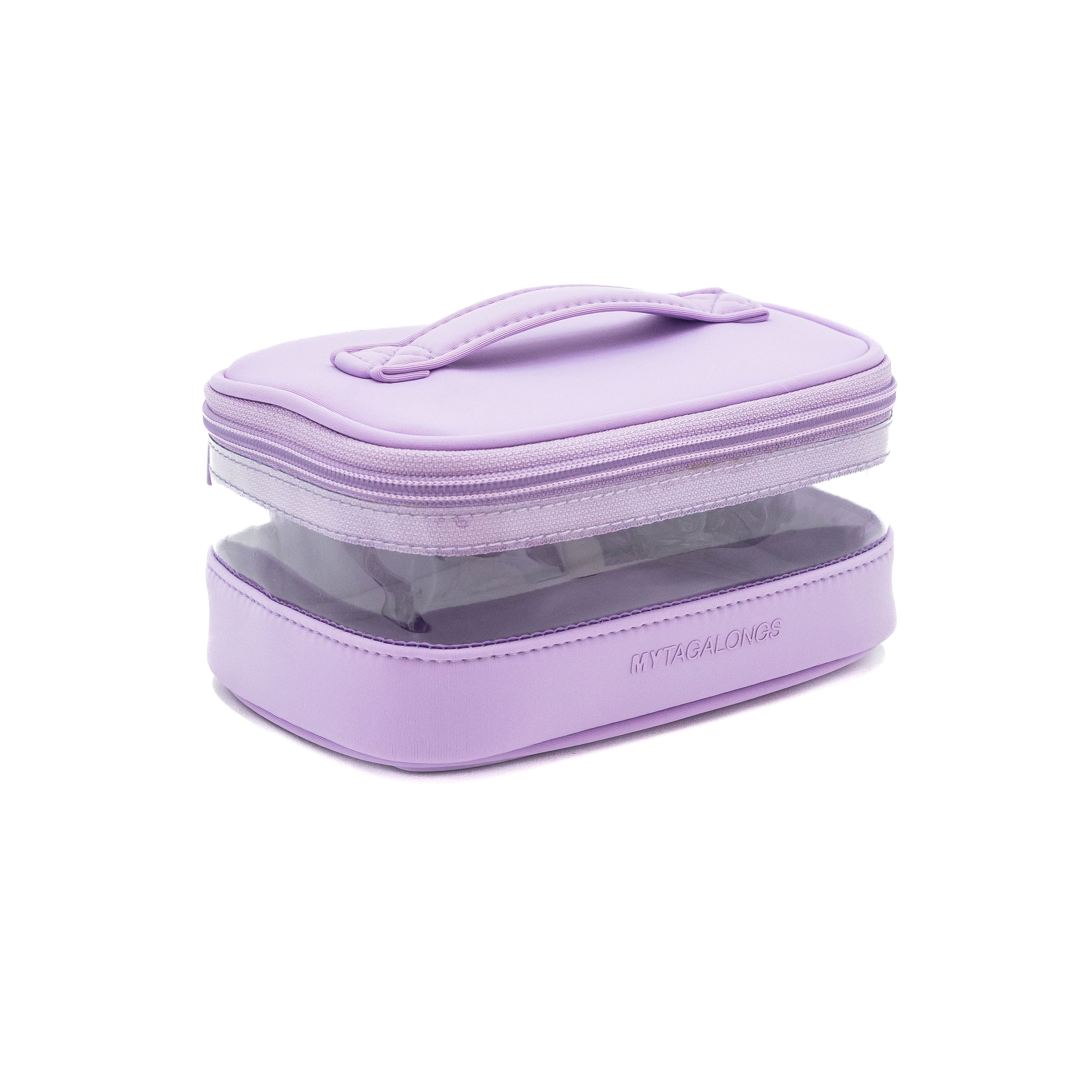 MINI CLEAR TRAIN CASE