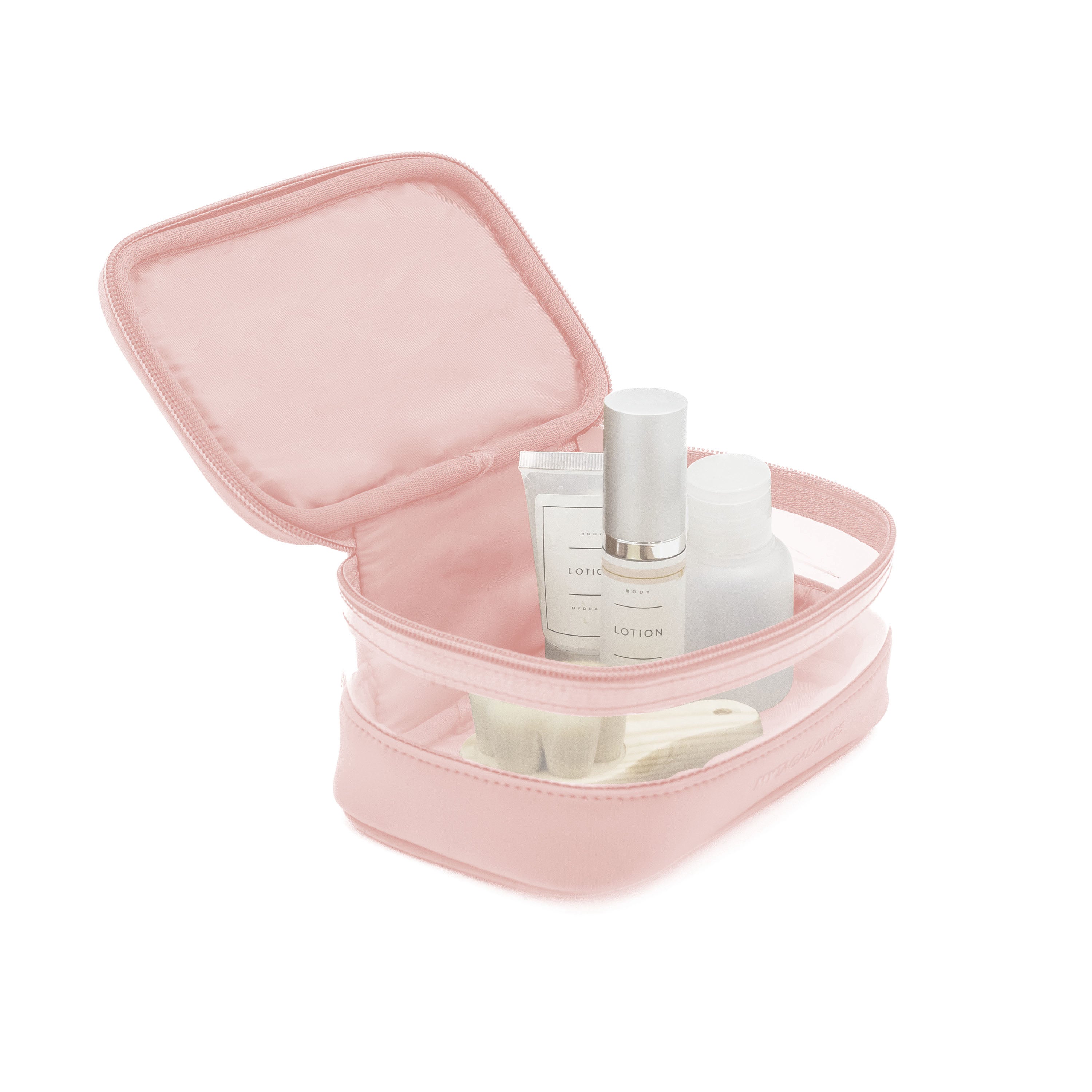 MINI CLEAR TRAIN CASE