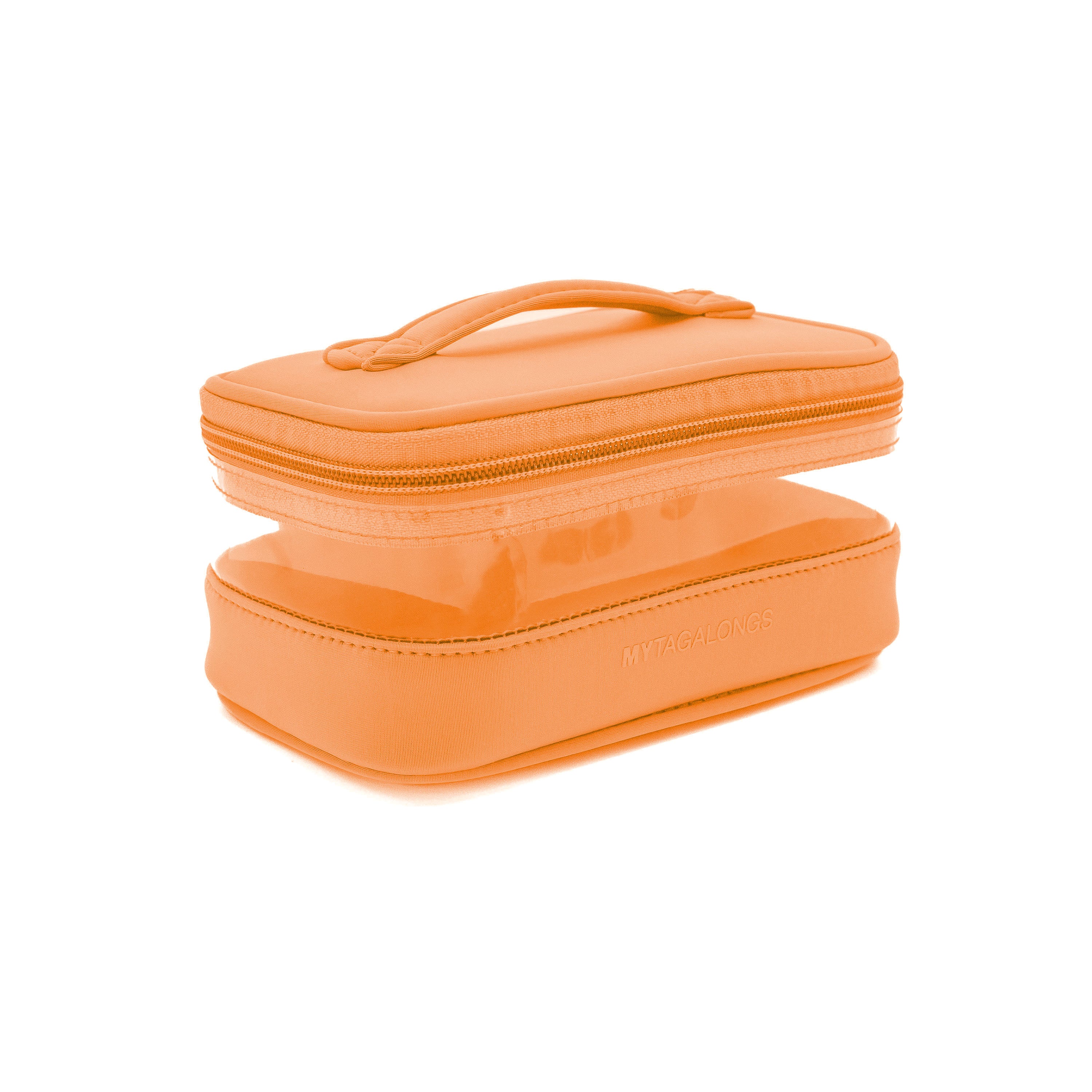 MINI CLEAR TRAIN CASE