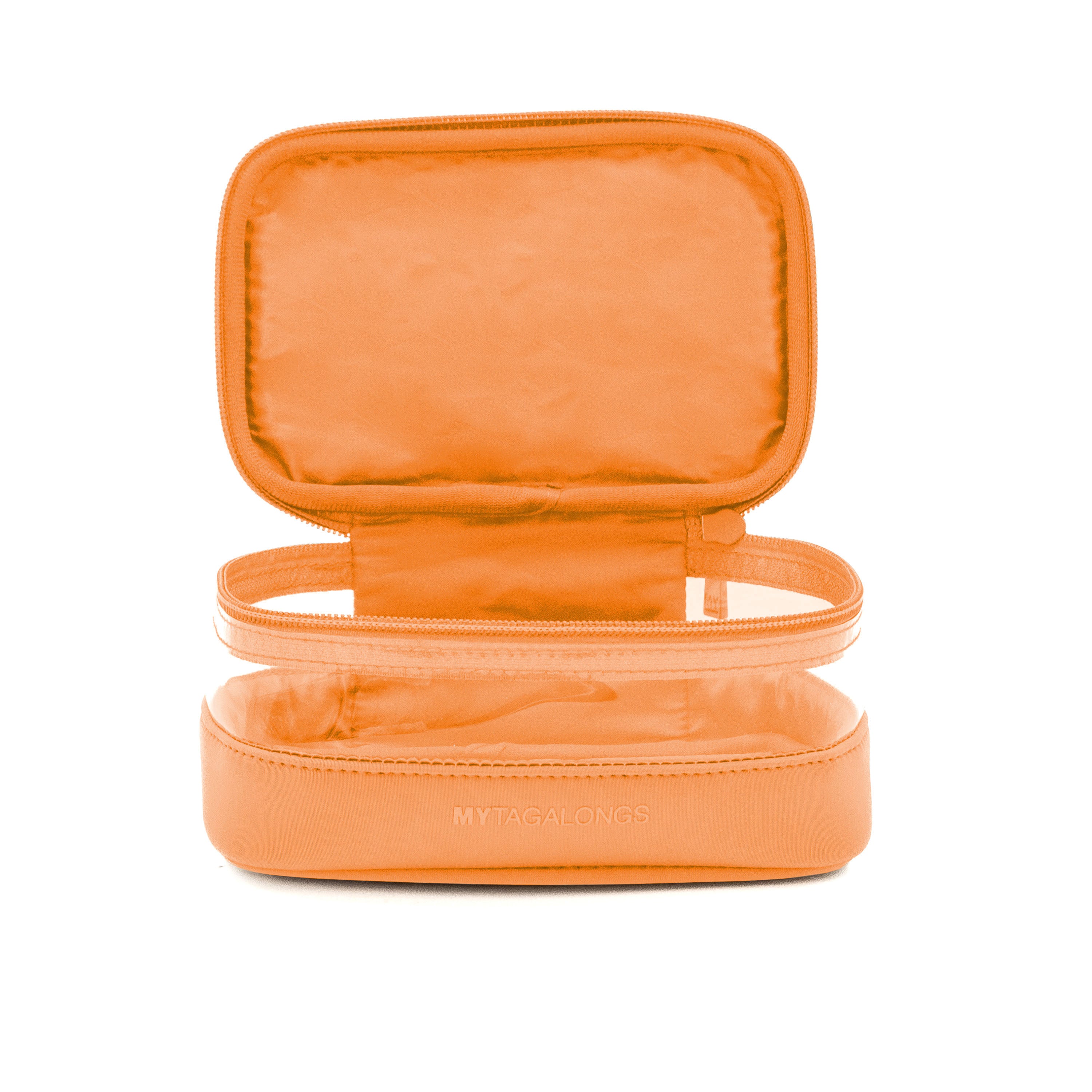 MINI CLEAR TRAIN CASE