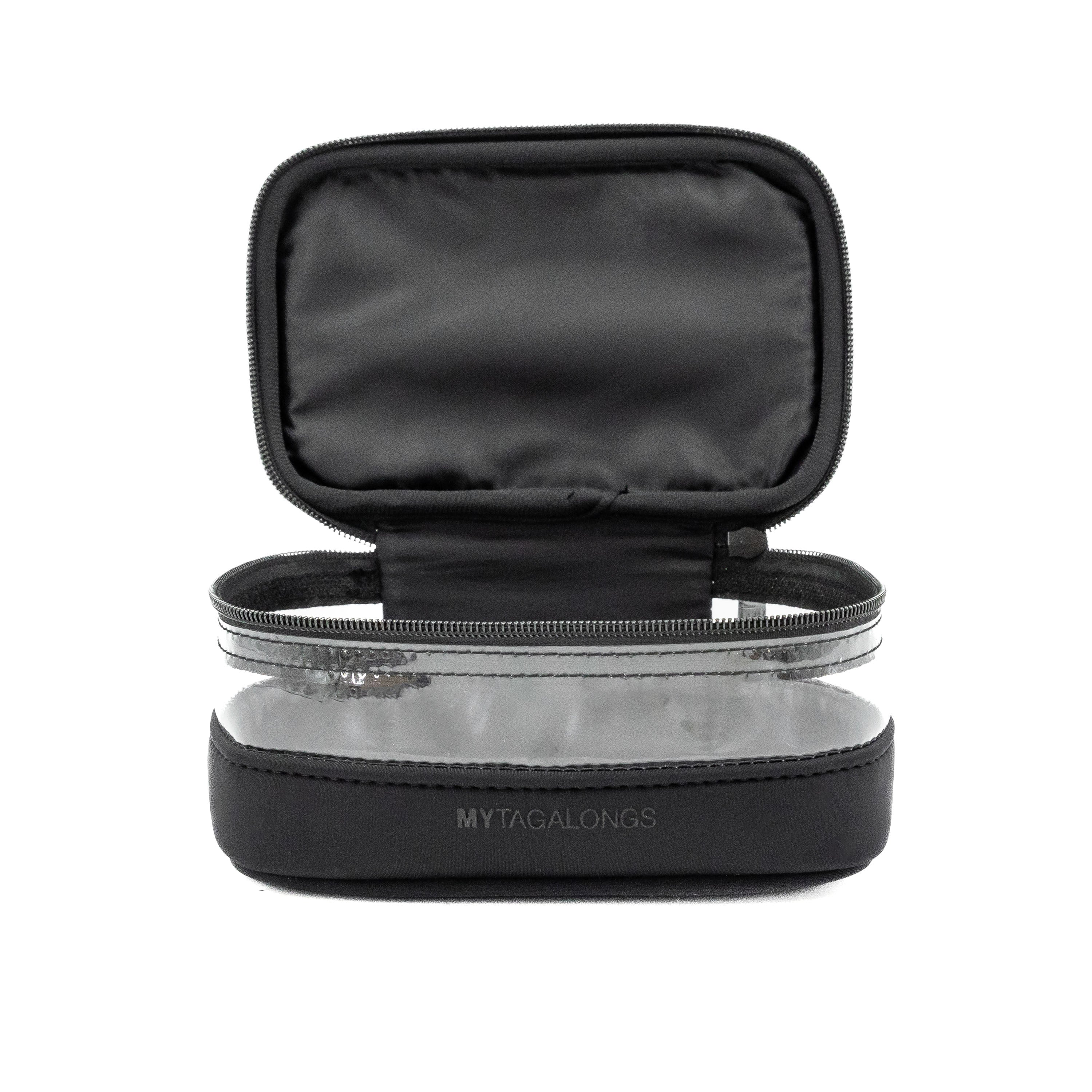 MINI CLEAR TRAIN CASE