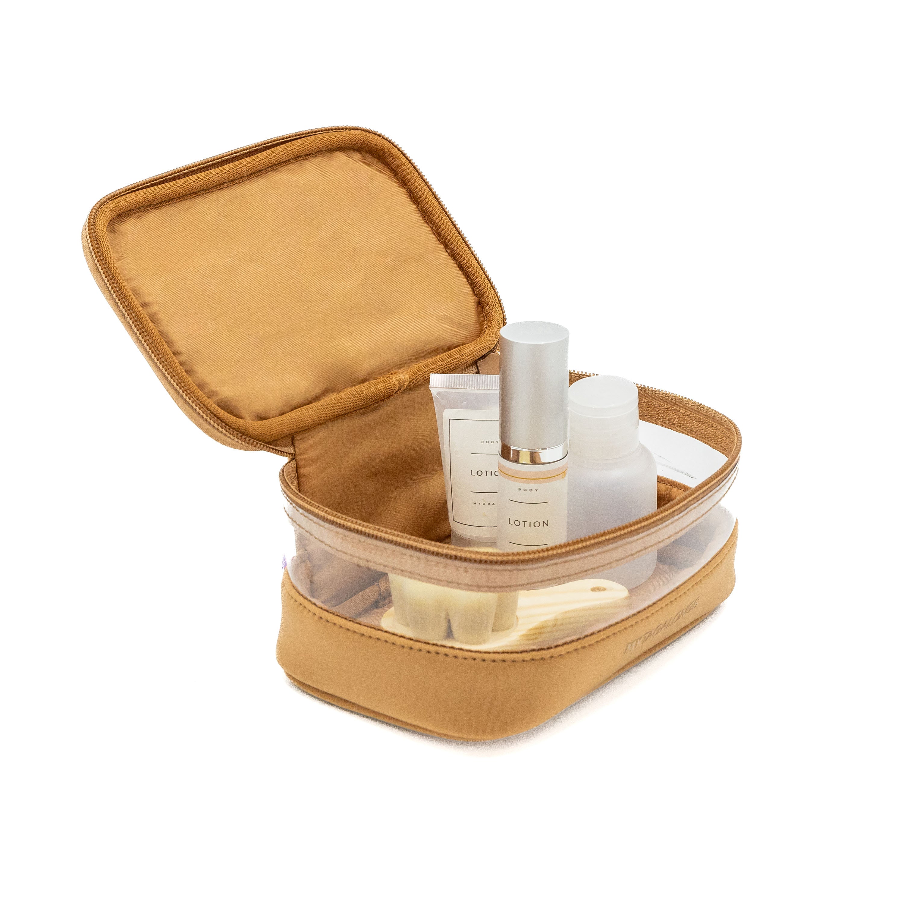 MINI CLEAR TRAIN CASE