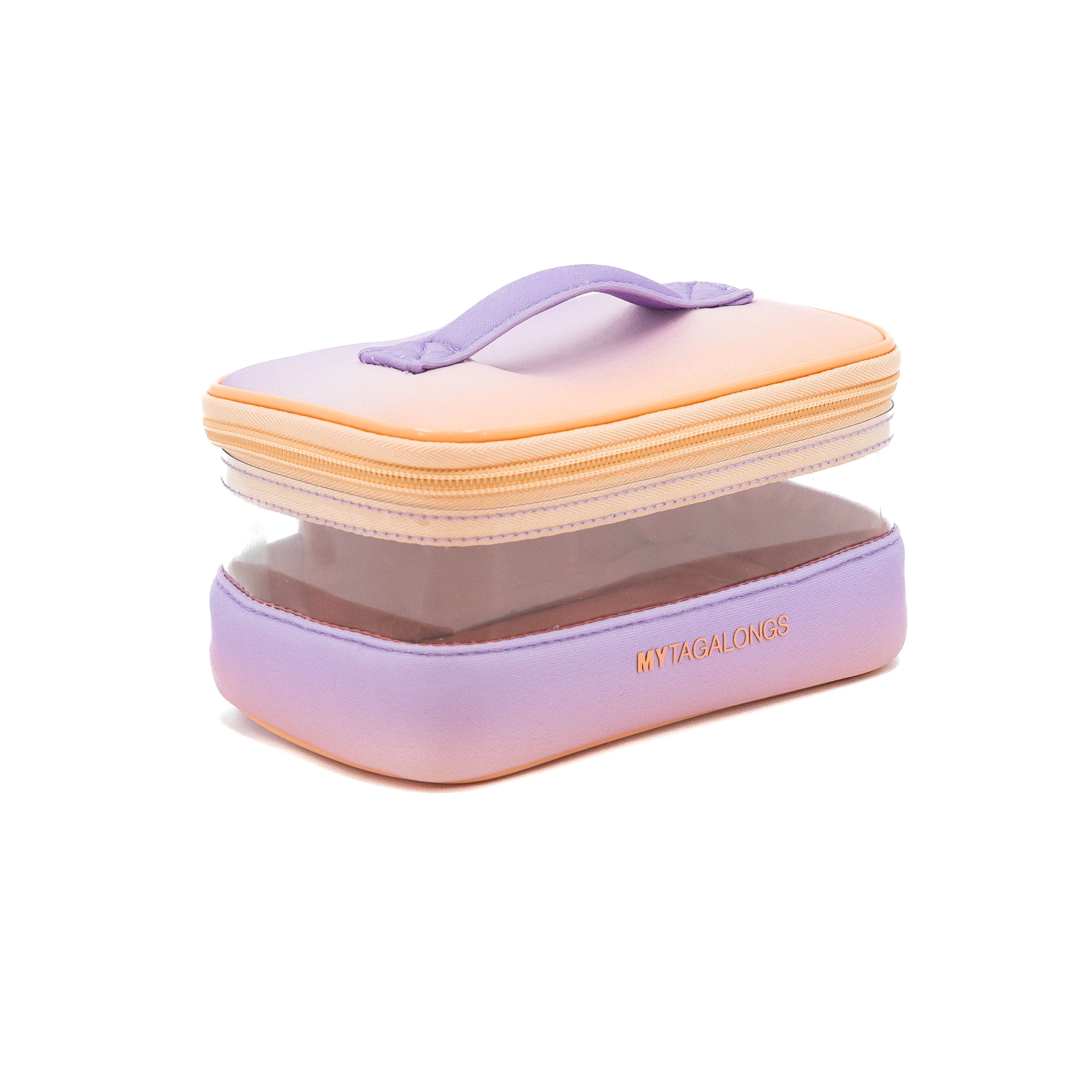 MINI CLEAR TRAIN CASE