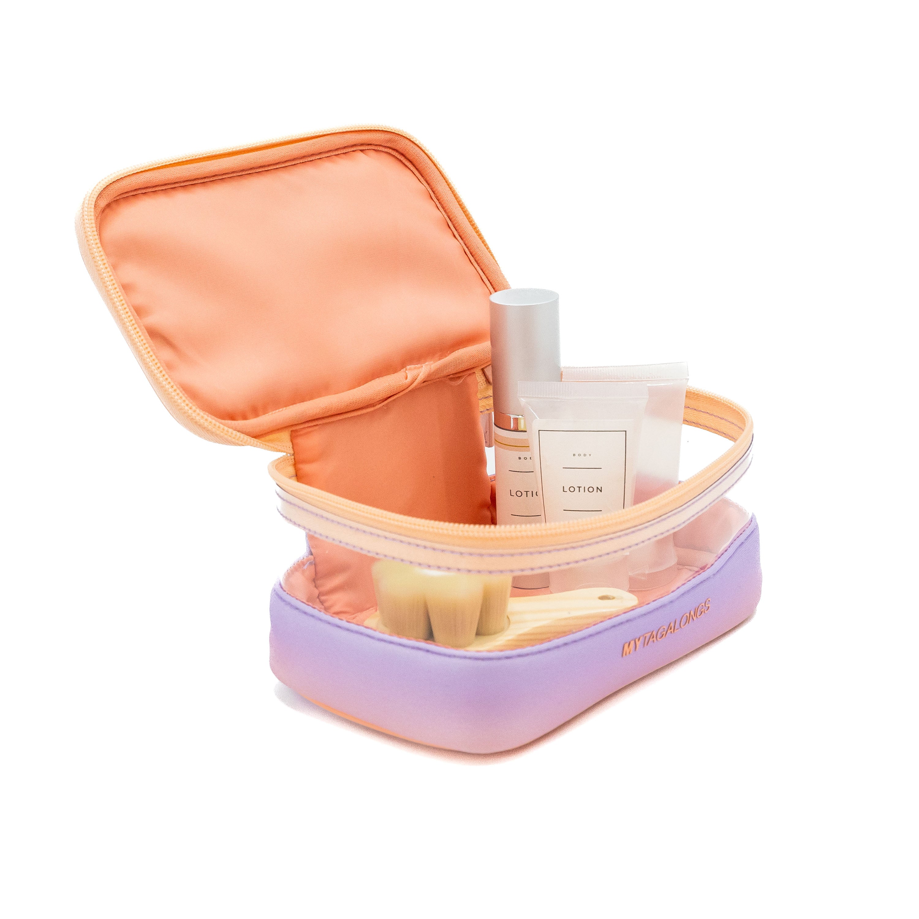 MINI CLEAR TRAIN CASE